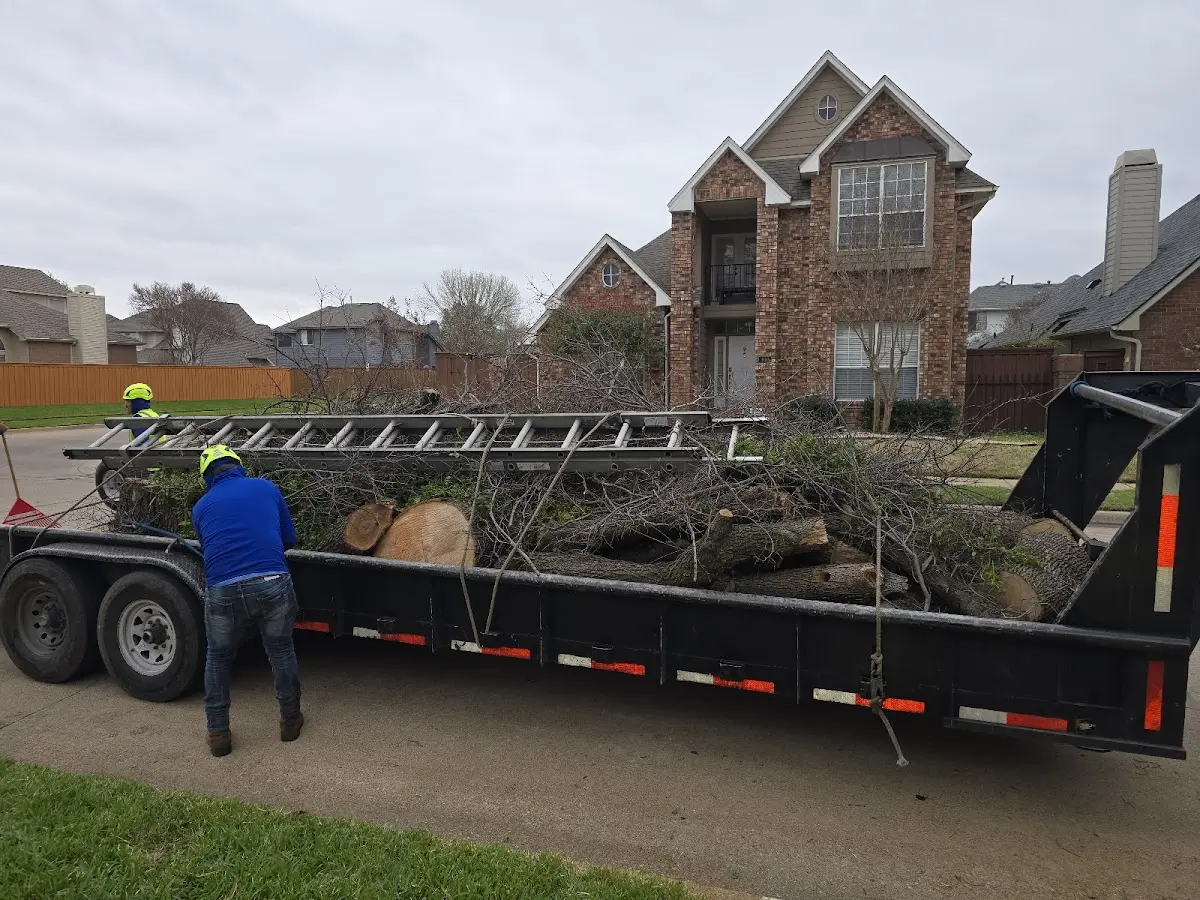 Expert Tree Removal with proper safety equipment in Blue Mounds